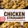 Creamy Chicken Stroganoff served with egg noodles and garnished with parsley