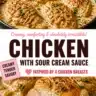 Delicious creamy chicken dish with sour cream and onion flavor