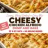 Creamy No-Boil Chicken Alfredo Pasta Bake dish served in a white bowl